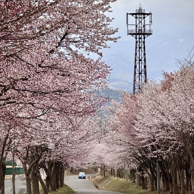 Mount Iwaki!! 