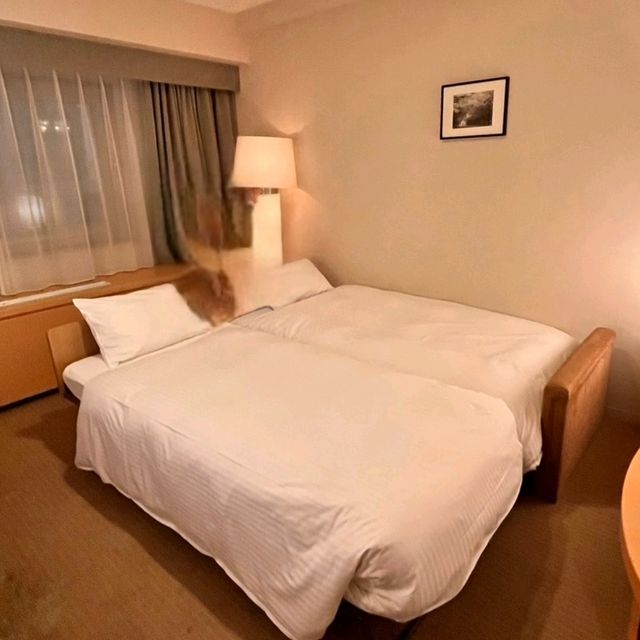 北海道住宿推薦~札幌豪景酒店大通公園 Sapporo View Hotel Oodori Kouen…札幌雪祭的好選擇 北海道住宿推薦~札幌豪景酒店大通公園 Sapporo View Hotel Oodori Kouen…札幌雪祭的好選擇