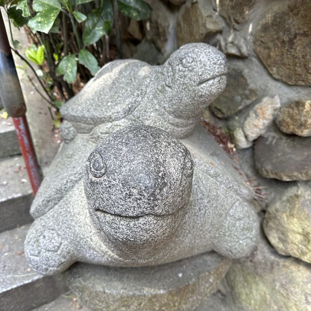 釜山大江大海的海東龍宮寺🐲🐉