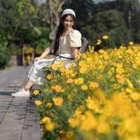 🌼 กระเพรา & coffee