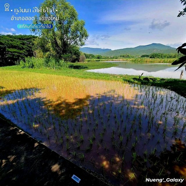Phu-Anna Eco House[ภูอันนา อีโค่ เฮ้าส์]-เชียงใหม่