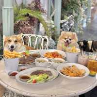 朗豪坊寵物友善餐廳🐶田園風cafe 
