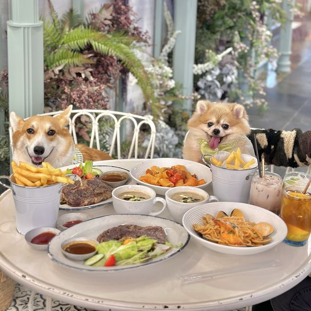 朗豪坊寵物友善餐廳🐶田園風cafe 
