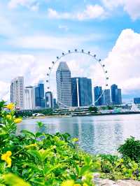 Best Spot for Photo Singapore Flyer