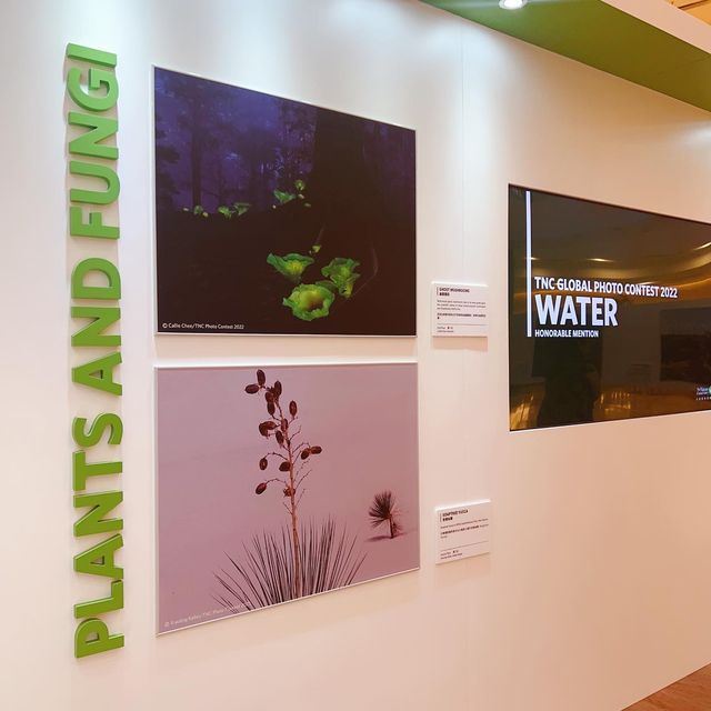 Pacific place 📷《 攝觸自然：TNC攝影比賽作品展 》，傳達大自然之美及喚醒公眾保育熱忱❣️