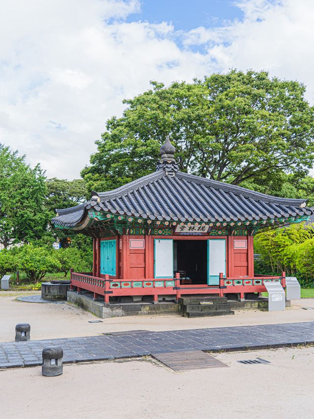 🌿여름빛 가득한 아름다운 제주 관아 [제주목관아]🍊