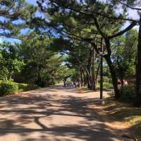 大㓓森林公園