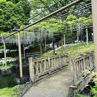 曼陀羅寺公園