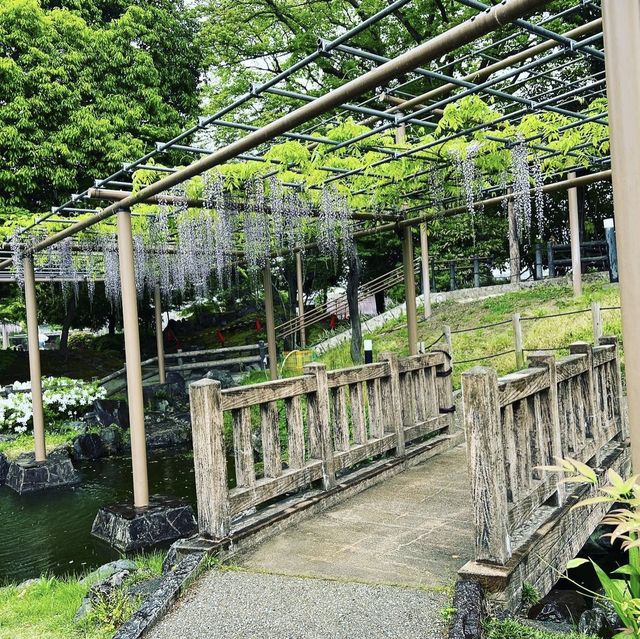 曼陀羅寺公園