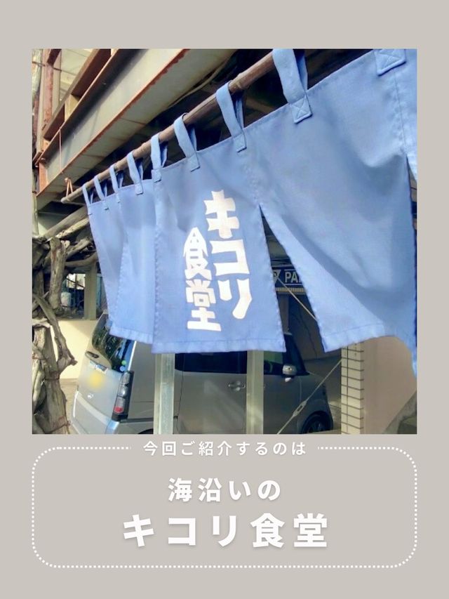 【鎌倉】わんこと行ける絶品定食🌴