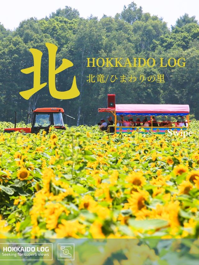 【北竜/ひまわりの里】北海道の絶景ログVol.5