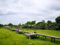 เถียงนาคาเฟ่ บ้านสวนศรีบุญมา อุดรธานี
