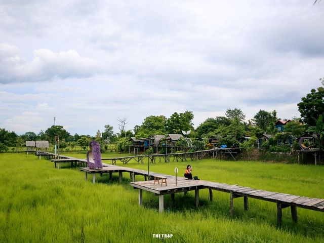 เถียงนาคาเฟ่ บ้านสวนศรีบุญมา อุดรธานี