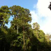 Khao Sok National park 自然生態遊記