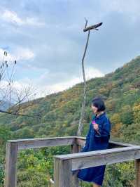 포항 숲속뷰 치앙마이감성 선류산장🌸