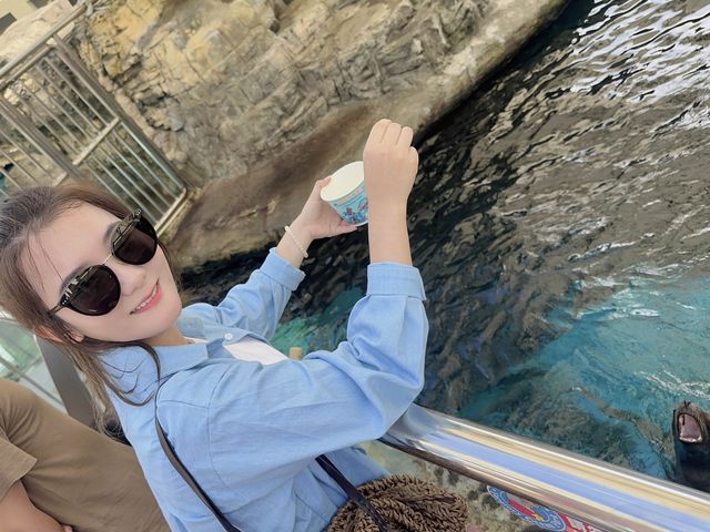 【 2023 花蓮旅遊 】遠雄海洋公園 海豚 海獅 台灣海洋公園