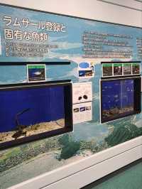 【福井】入館無料で楽しめる水族館