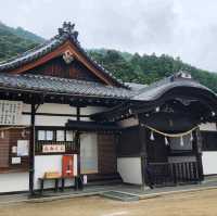 滋賀琵琶湖．白鬚神社 - 夢幻水中鳥居