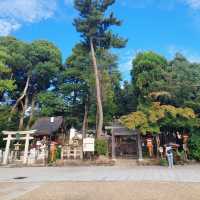 Japan Travels: Yasaka Shrine & Maruyama Park