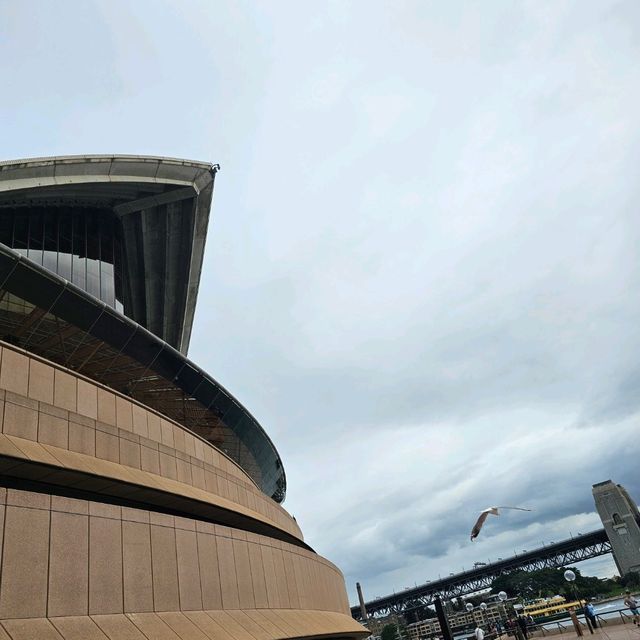 建築奇跡悉尼歌劇院