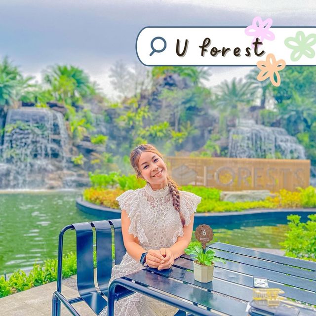 คาเฟ่น้องใหม่มาแรงของระยอง U forest