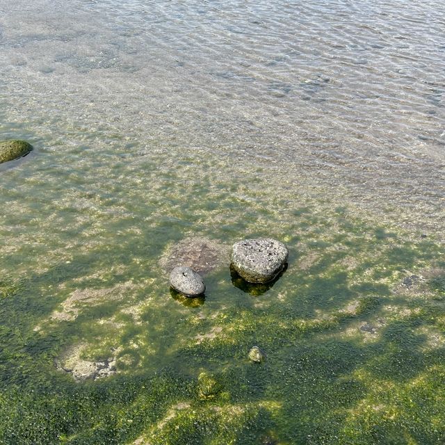 성산일출봉 뷰 “광치기해변”💛