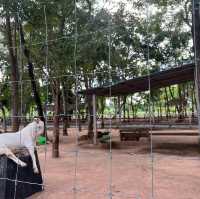ทัณฑสถานหญิงพิษณุโลก ร้านเฟื่องฟ้า
