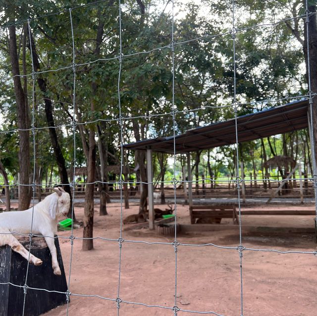 ทัณฑสถานหญิงพิษณุโลก ร้านเฟื่องฟ้า