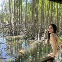 ทุ่งโปรงทอง