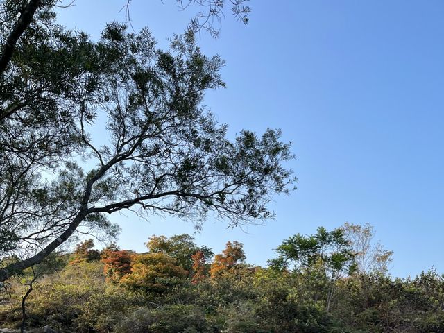 挑戰成功！由馬鞍山村出發行上昂平草原