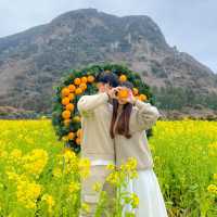 산방산과 유채 