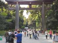 Meiji Shrine, calamity in the heart of Tokyo