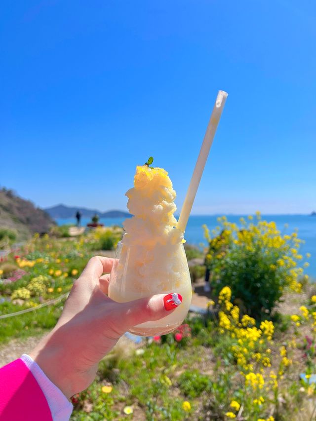 다랭이 마을에 갔으면 들려줘야 하는 카페톨🌾