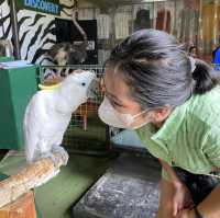 Enjoy Nature at Paradizoo Park Tagaytay