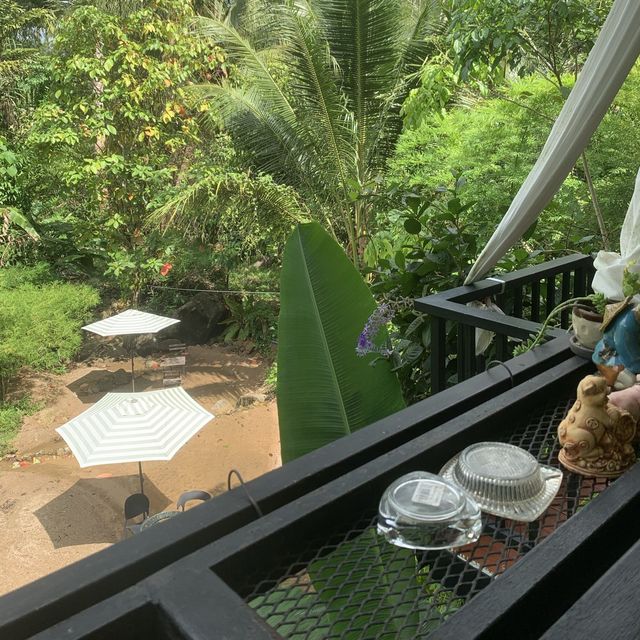 Jungle Cafe 