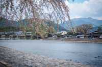 Arashiyama Bamboo Grove & Togetsu-kyo Bridge