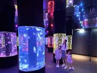 懶媽遛孩熱點! 睇水母兼玩室內遊樂場