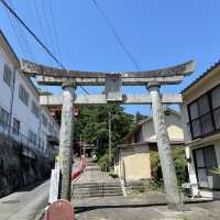 【大分観光】別府パワースポット🌳