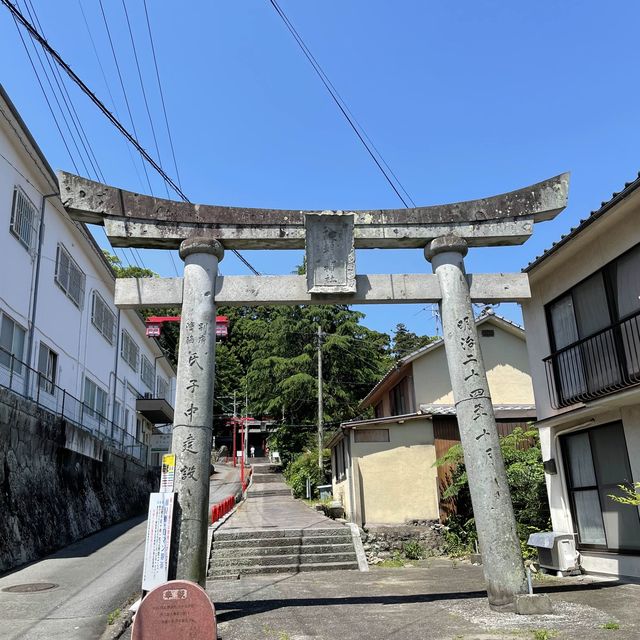 【大分観光】別府パワースポット🌳