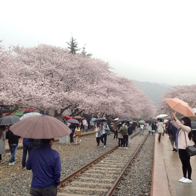 Gyeonghwa Train Station in Jinhae