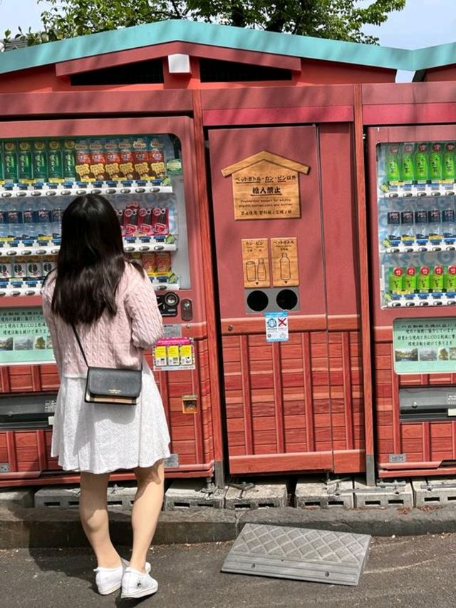東京遊必到打卡景點 - 淺草寺⛩️