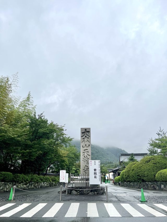 《大阪市京都嵐山一日遊》