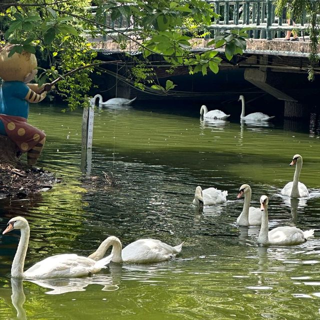 深圳野生動物園