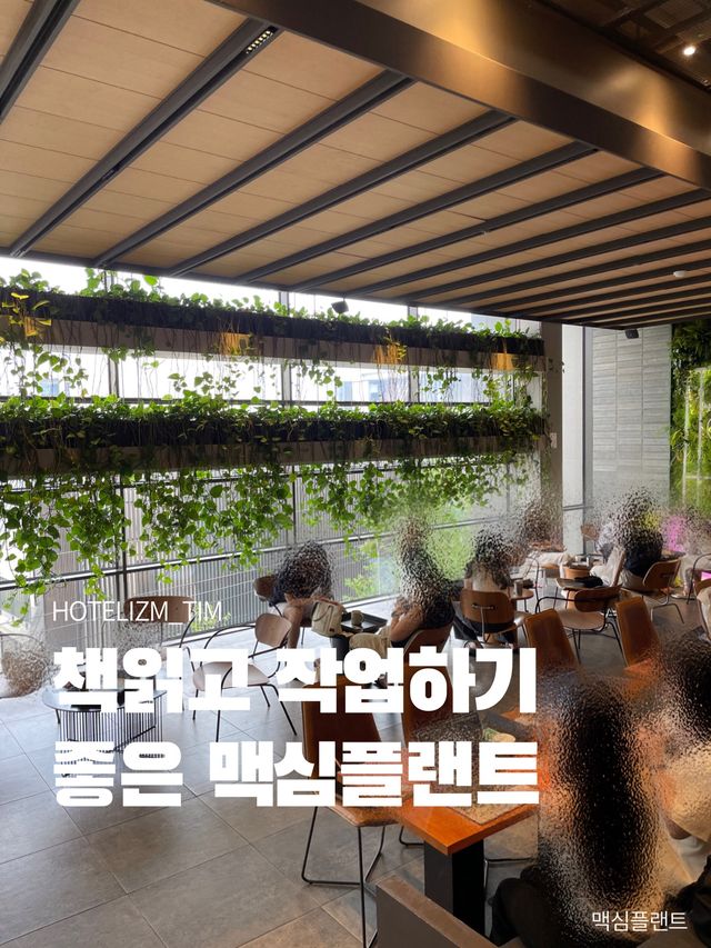 [2025 서울 음식점] 맥심플랜트 트립 가이드 (5월 업데이트) | 트립 모먼트
