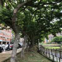 士校大池