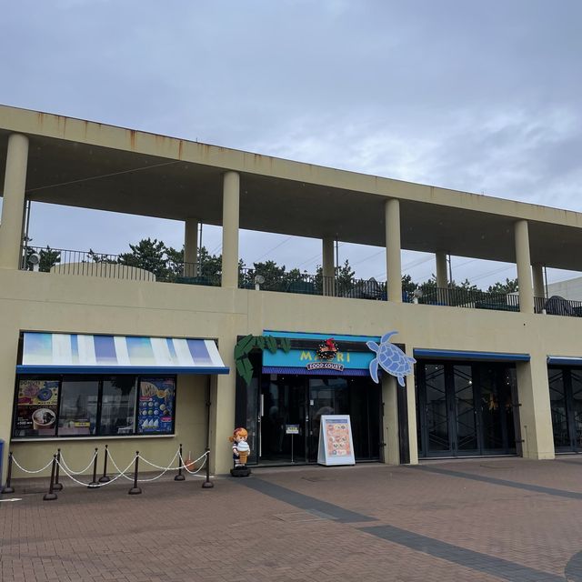 【千葉県】日本ではわずか2カ所のみ！鴨川シーワールドでシャチと対面！