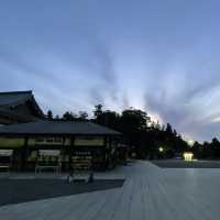 成田表參道的亮點！走到到底就是成田新勝寺⛩️