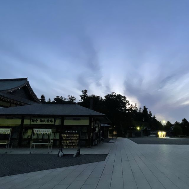 成田表參道的亮點！走到到底就是成田新勝寺⛩️