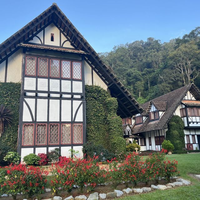 20 degree summer at Cameron Highland 