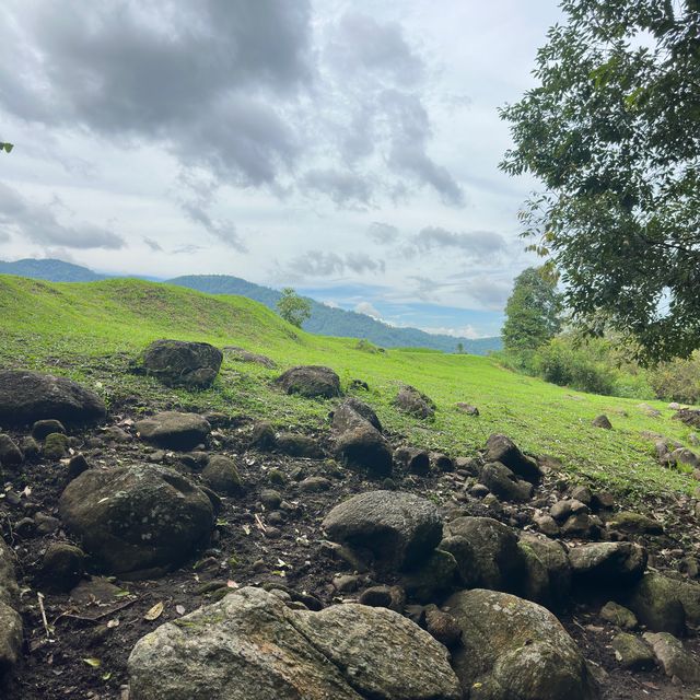 📍Seclee Farm & Camping ริมลำธาร กลางหุบเขา